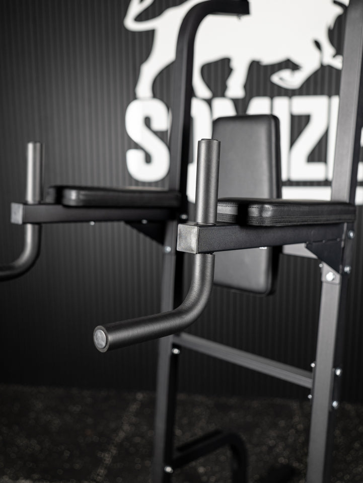 4in1 Power Tower, Leg Raises- Dipstation SQMIZE® POWER PACK VKR900