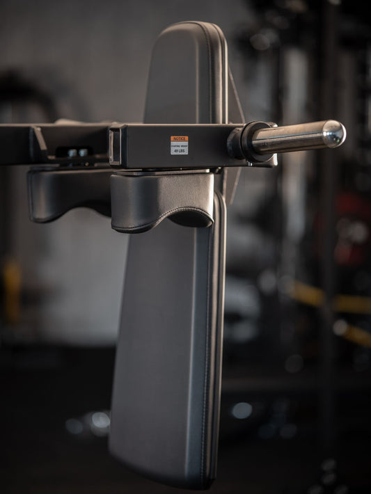 Pendulum squat station SQMIZE® PREMIUM BISON PSP50i