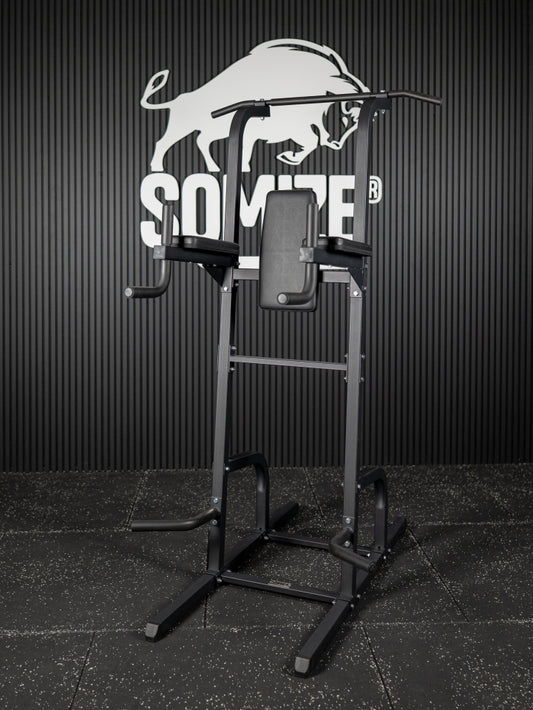 4in1 Power Tower, Leg Raises- Dipstation SQMIZE® POWER PACK VKR900