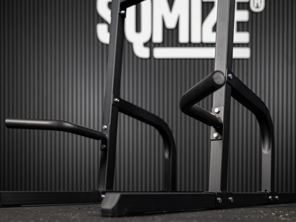 4in1 Power Tower, Leg Raises- Dipstation SQMIZE® POWER PACK VKR900