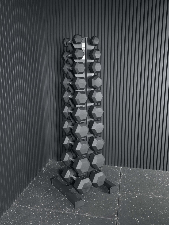 SQMIZE® dumbbell storage tower SQ233